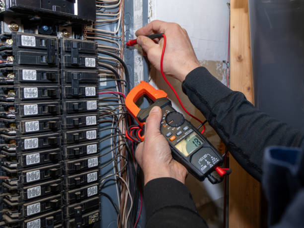 Best Affordable Electrician  in Ecorse, MI